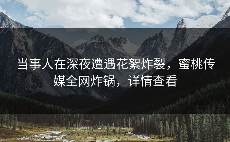 当事人在深夜遭遇花絮炸裂，蜜桃传媒全网炸锅，详情查看