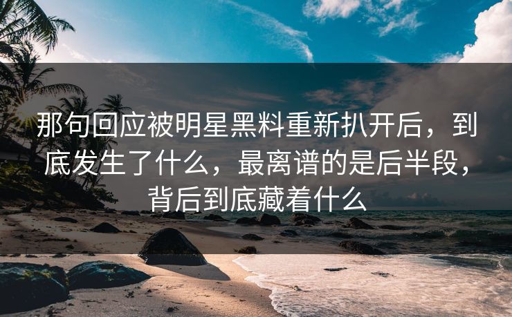 那句回应被明星黑料重新扒开后,到底发生了什么,最离谱的是后半段,背后到底藏着什么 那句回应被明星黑料重新扒开后,到底发生了什么,最离谱的是后半段,背后到底藏着什么