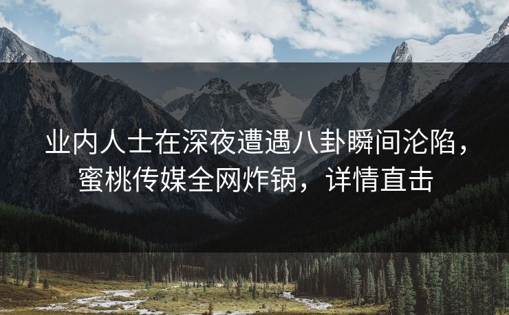业内人士在深夜遭遇八卦瞬间沦陷,蜜桃传媒全网炸锅,详情直击