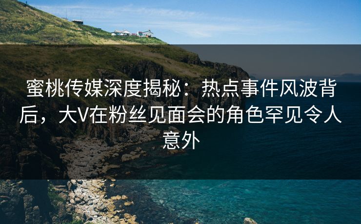 蜜桃传媒深度揭秘：热点事件风波背后，大V在粉丝见面会的角色罕见令人意外