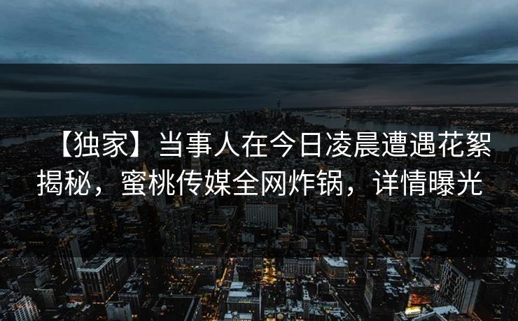 【独家】当事人在今日凌晨遭遇花絮揭秘，蜜桃传媒全网炸锅，详情曝光